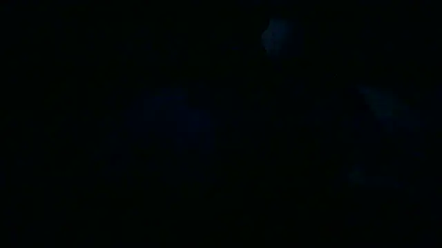 Snapshot of Luanatrav1 chatting on March 2026 09:31:02 AM Luanatrav1 online show from March 2026 09:31:02 AM