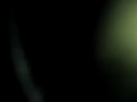 camila wood online show from February 2026 12:09:01 AM