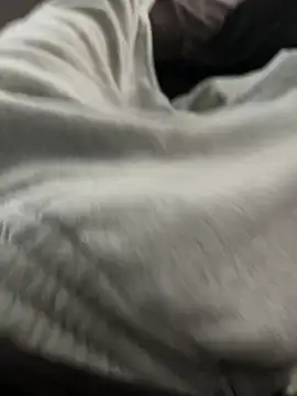 bugballs1 online show from February 2026 11:39:01 PM