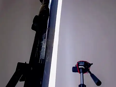 Darianna Atehortua online show from February 2026 01:02:02 PM