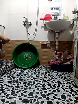 Tulip ii online show from February 2026 12:54:01 AM