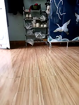 Tulip ii online show from February 2026 04:25:02 AM