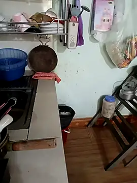 Tulip ii online show from February 2026 03:17:01 AM