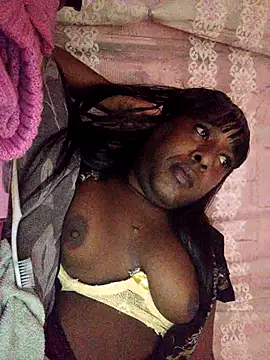 Hellentrans24 online show from April 2026 04:08:02 AM