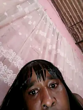 Hellentrans24 online show from April 2026 05:20:01 PM