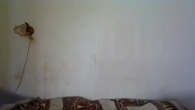 NickiKisinger online show from March 2026 05:50:01 AM