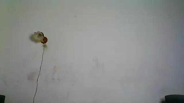 Snapshot of NickiKisinger chatting on February 2026 05:26:02 AM NickiKisinger online show from February 2026 05:26:02 AM