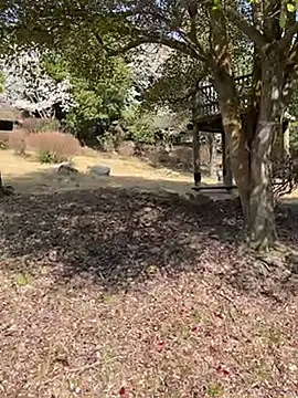 K0U-123 online show from April 2026 12:39:02 AM