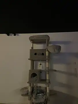 Just-Lilly online show from March 2026 12:14:02 AM