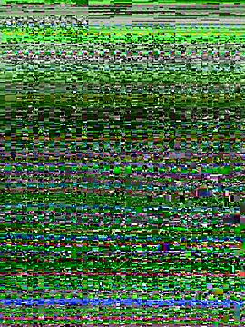 missgirl88 online show from April 2026 10:56:01 PM