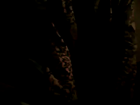 flakita38 online show from June 2026 11:48:01 PM