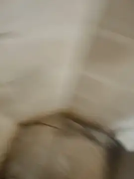 Gordinho dos pes online show from April 2026 03:19:01 AM