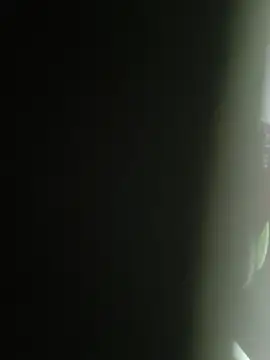 Snapshot of Gordinho_dos_pes chatting on February 2026 02:12:01 AM Gordinho dos pes online show from February 2026 02:12:01 AM