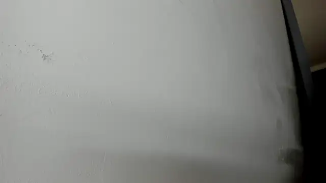 Ben Castro  online show from February 2026 09:14:02 PM