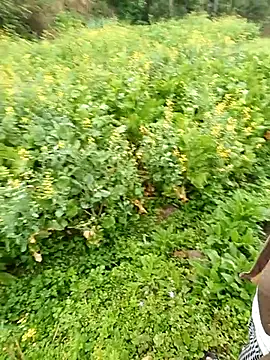 baby 112233 online show from March 2026 01:10:01 AM