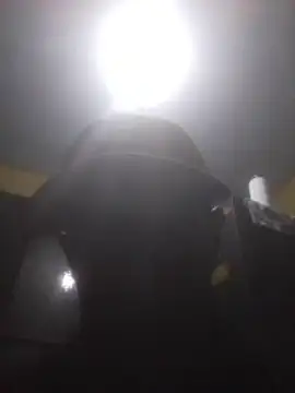 S7LEALTADPERVLIMA7 online show from May 2026 11:44:02 PM