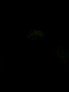 S7LEALTADPERVLIMA7 online show from May 2026 09:40:01 AM