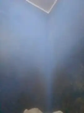 S7LEALTADPERVLIMA7 online show from April 2026 06:00:01 PM