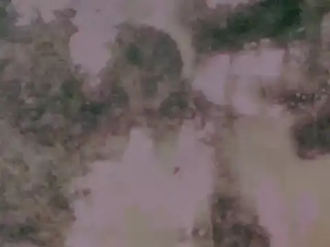 worldClassSelfsuckerxxxxx online show from March 2026 07:10:02 PM