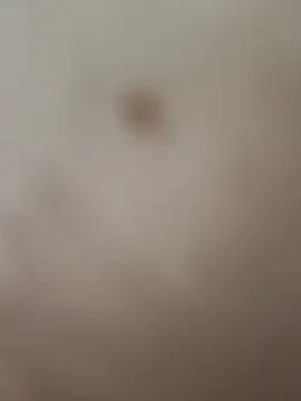 elvergon8721 online show from February 2026 05:26:02 AM