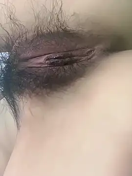 fadssa online show from February 2026 06:22:01 AM