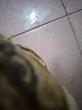 the sayem fuckboy online show from March 2026 10:04:02 PM