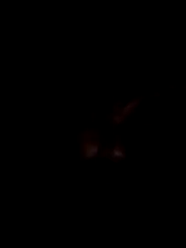 Harry302933 online show from March 2026 04:56:01 PM