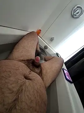 bitampa-23 online show from February 2026 01:31:02 PM