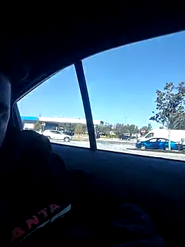 bitampa-23 online show from February 2026 03:44:01 PM