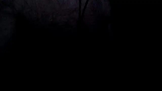 cumintodadark online show from June 2026 10:25:02 PM