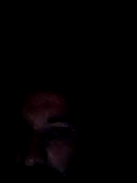 no-name15 online show from February 2026 12:20:02 AM