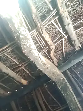 Snapshot of Manu_mehta chatting on March 2026 04:58:02 AM Manu mehta online show from March 2026 04:58:02 AM