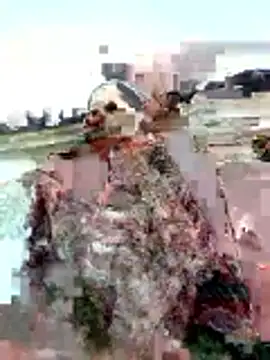 Snapshot of Manu_mehta chatting on April 2026 01:56:01 AM Manu mehta online show from April 2026 01:56:01 AM