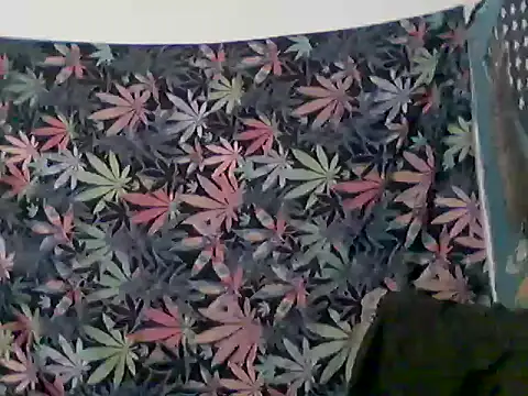 Snapshot of libraxxxstudios chatting on June 2026 12:36:02 PM libraxxxstudios online show from June 2026 12:36:02 PM