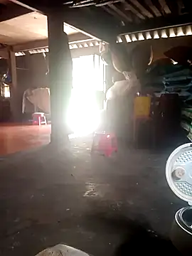 cana4455 online show from March 2026 05:40:01 AM