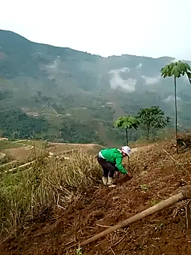 cana4455 online show from March 2026 02:26:02 AM