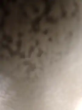 Taboada20 online show from March 2026 08:04:01 PM