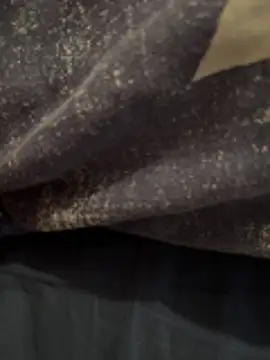 Snapshot of Enzo_2763 chatting on February 2026 07:58:01 PM Enzo 2763 online show from February 2026 07:58:01 PM