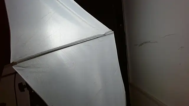 Miss Merrie online show from March 2026 10:11:02 AM