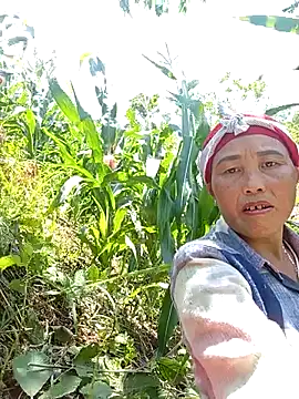 lena-cute online show from May 2026 05:14:01 AM