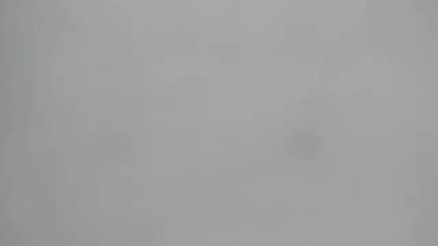  1DERECK online show from February 2026 10:01:02 AM