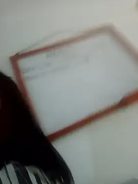 MeelFox online show from March 2026 01:26:02 PM