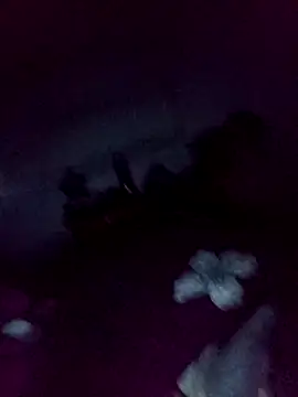 loveofpetitegirls34 online show from February 2026 03:28:01 AM