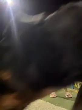 Arya    online show from February 2026 05:48:02 AM