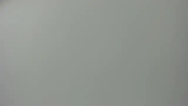 Raven love online show from April 2026 05:17:02 PM