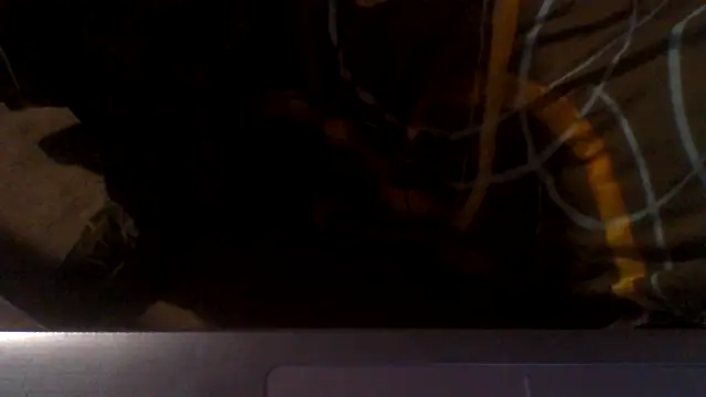 Snapshot of crikeycock chatting on May 2026 04:12:02 AM crikeycock online show from May 2026 04:12:02 AM