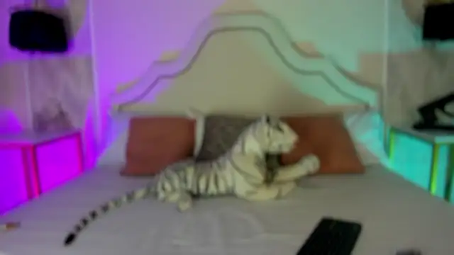 Snapshot of niicole_garner chatting on February 2026 03:56:01 PM niicole garner online show from February 2026 03:56:01 PM