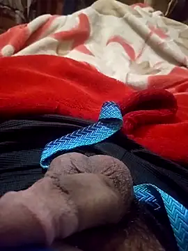 Snapshot of Al-Hari chatting on February 2026 06:05:01 PM Al-Hari online show from February 2026 06:05:01 PM