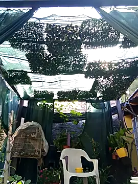 gordorichard online show from February 2026 12:40:02 PM