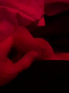 Abd1122aa online show from February 2026 10:50:02 PM